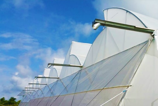 Agriplast Polyhouse Structure