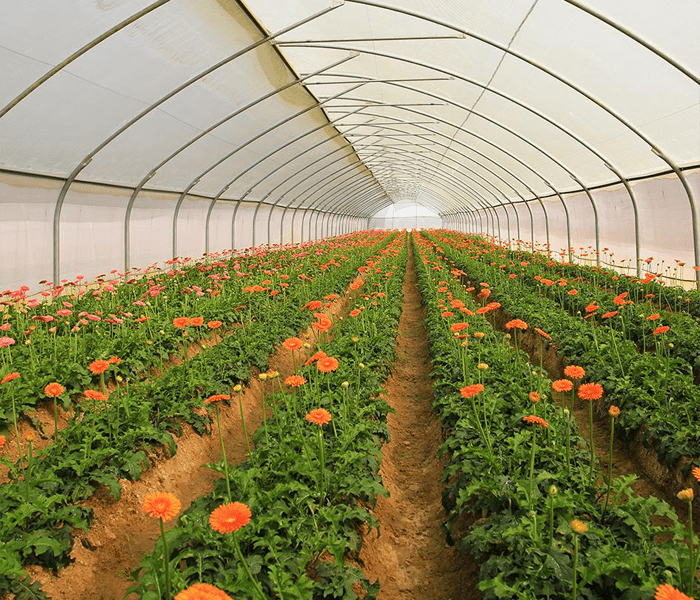 Agriplast Hydronic Automation