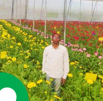 Agriplast Polyhouse Framer in flower farm