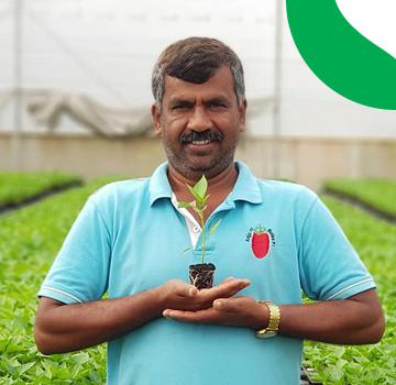 Agriplast Polyhouse farmer in polyhouse