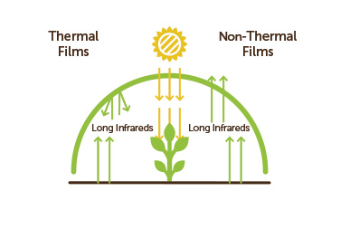 Agriplast polyhouse thermal Radiation