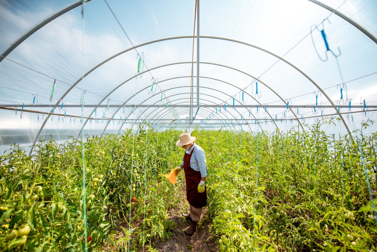 Ginegar Greenhouse Film: Key to Thriving Crops