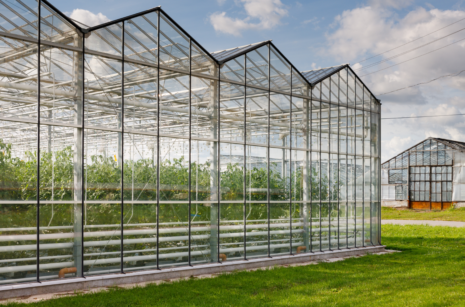 Protect Your Crops with Shade Nets Solutions