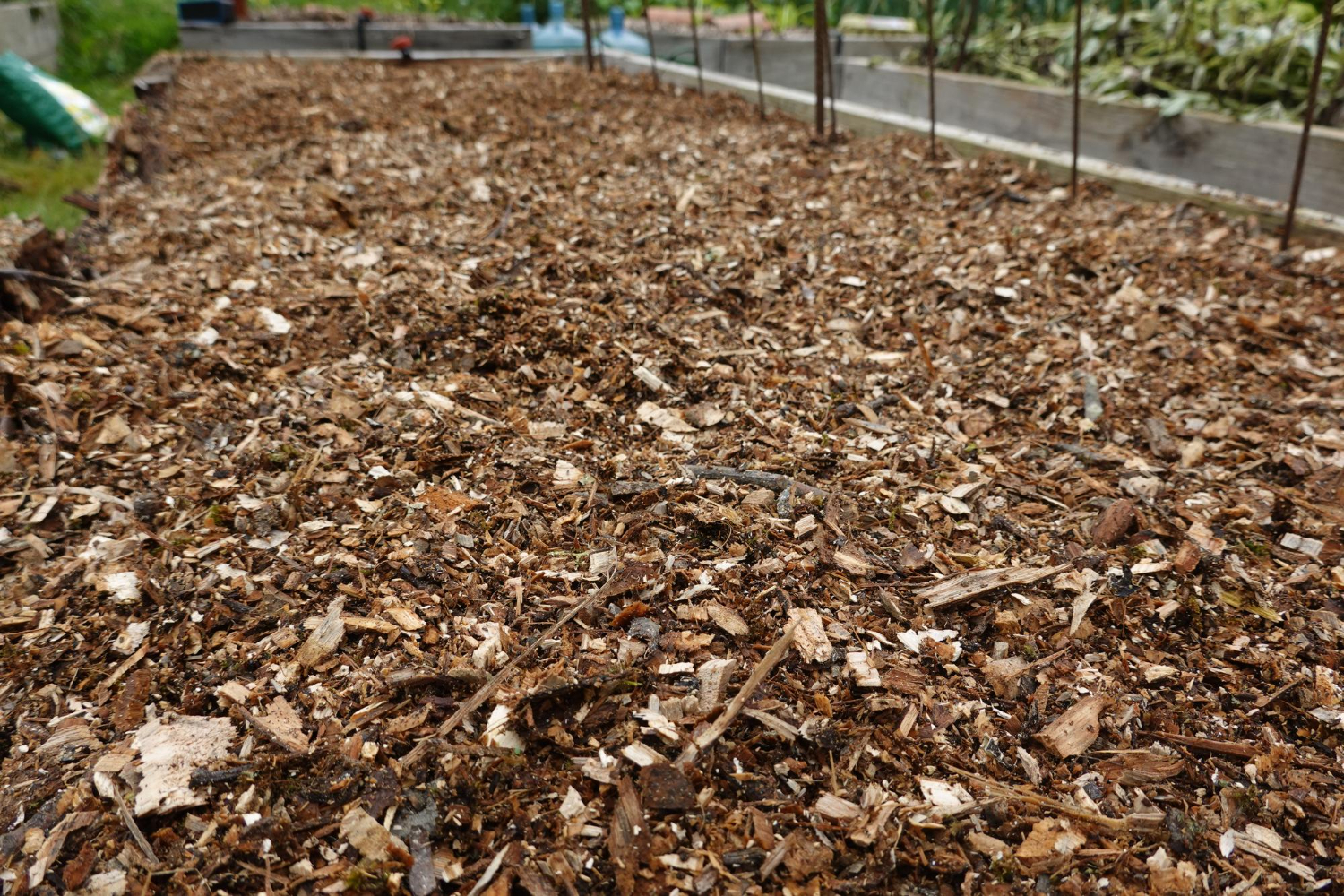 Mulch: The Simple Solution for Healthier Plants