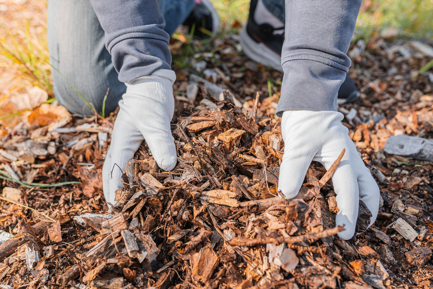 Mulch: Enhancing Soil Health and Water Retention