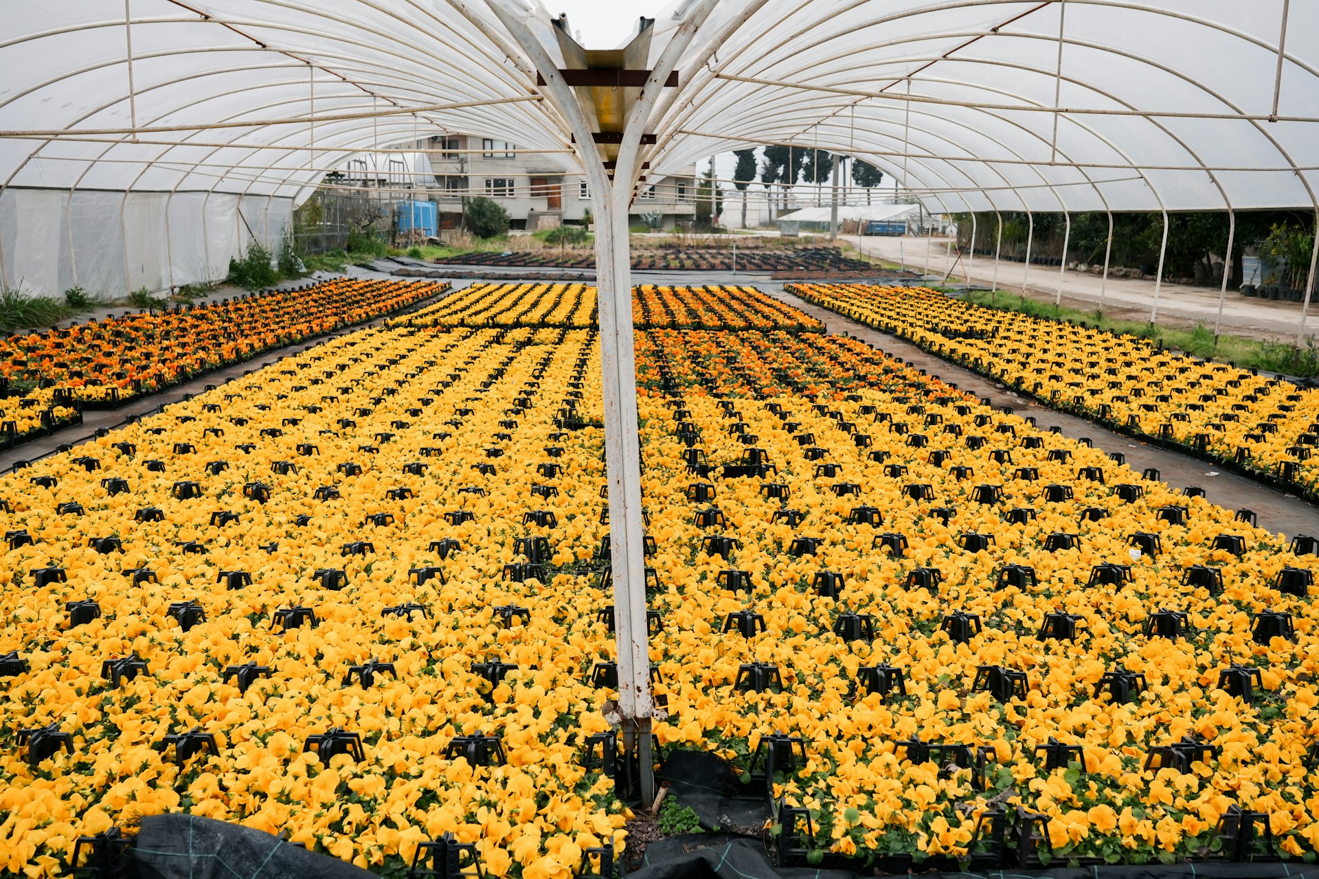 Must-Have Greenhouse Accessories for Better Harvests